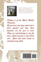 Black Binder Fantasies Volume 2