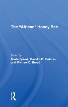 african Honey Bee