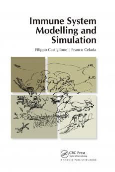 Immune System Modelling and Simulation