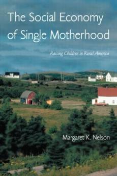Social Economy of Single Motherhood