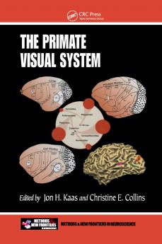 Primate Visual System