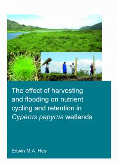 effect of harvesting and flooding on nutrient cycling and retention in Cyperus papyrus wetlands