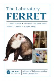Laboratory Ferret