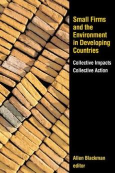 Small Firms and the Environment in Developing Countries