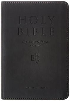 ESV COMPACT BIBLE REVISED TWO TONE ED