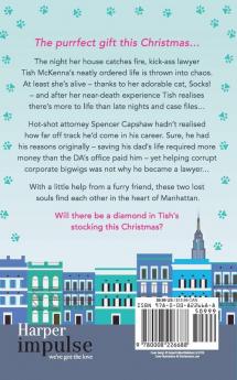 Empire State Cat's Christmas Gift
