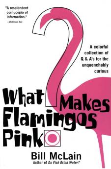 What Makes Flamingos Pink?