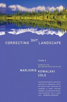 Correcting the Landscape