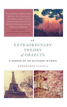 Extraordinary Theory of Objects