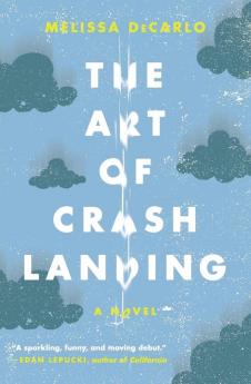 Art of Crash Landing