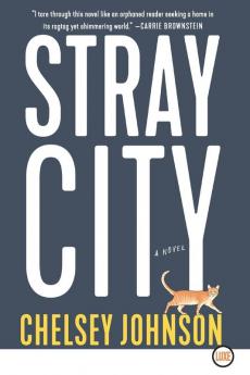 Stray City