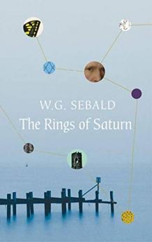 The Rings of Saturn