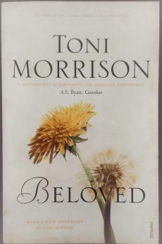 Beloved (Picador Book)