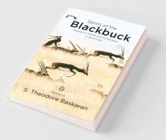 Sprint of The Blackbuck