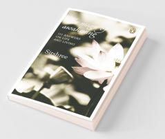 Magic of AwakeningThe: 111 An