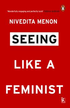 Seeing Like a Feminist