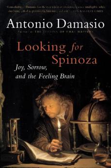 Looking for Spinoza