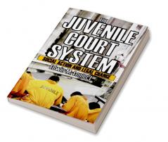 Juvenile Court System