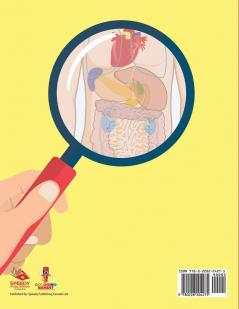 Human Anatomy 101