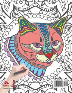 Cranky Kitty: Coloring Book for Kindergarten