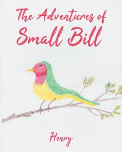 Adventures of Small Bill