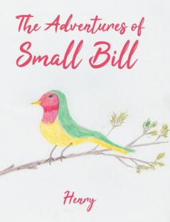 Adventures of Small Bill