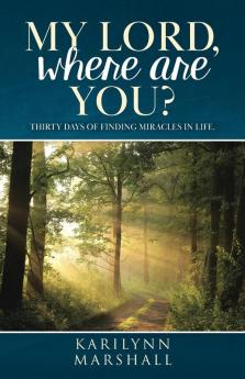 My Lord Where are You?: Thirty Days of Finding Miracles in Life