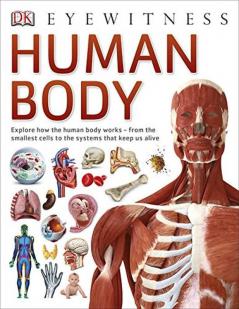 DK Eyewitness: Human Body