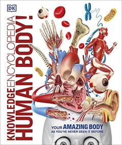 DNO Knowledge Encyclopedia Human Body!