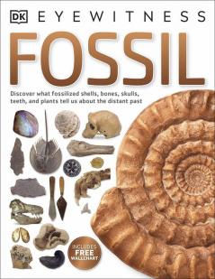 Eyewitness Fossil