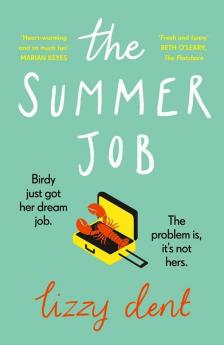 The Summer Job: A hilarious story about a lie that gets out of hand - soon to be a TV series