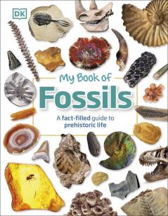 My Book of Fossils