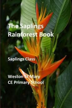 The Saplings Rainforest Book