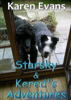 Starsky & Kered's Adventures