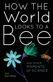 How the World Looks to a Bee