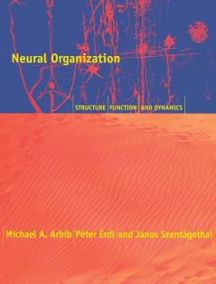 Neural Organization