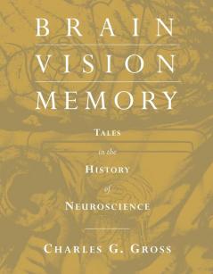 Brain Vision Memory
