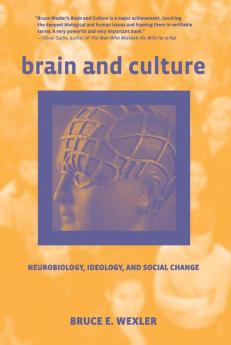 Brain and Culture