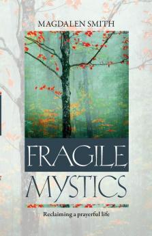 Fragile Mystics: Reclaiming a Prayerful Life