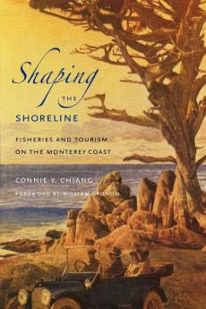 Shaping the Shoreline