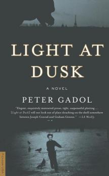 Light at Dusk: A Novel