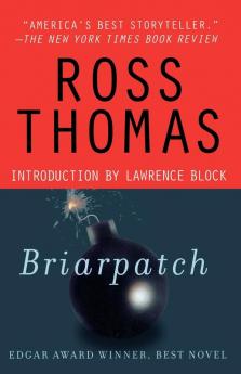 Briarpatch: A Novel