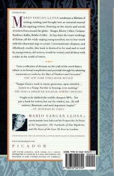 Letters to a Young Novelist