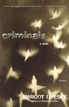 Criminals: A Novel