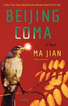 Beijing Coma: A Novel