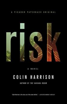 Risk: A Novel