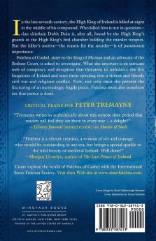 Dancing with Demons: A Mystery of Ancient Ireland: 18 (Mysteries of Ancient Ireland 18)