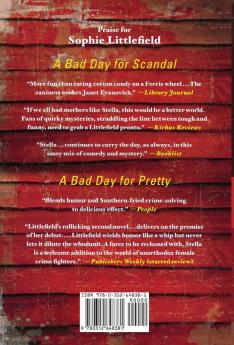 A Bad Day for Mercy: A Crime Novel: 4 (Stella Hardesty Crime Novels 4)