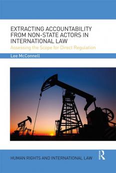 Extracting Accountability from Non-State Actors in International Law