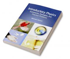 Introductory Physics